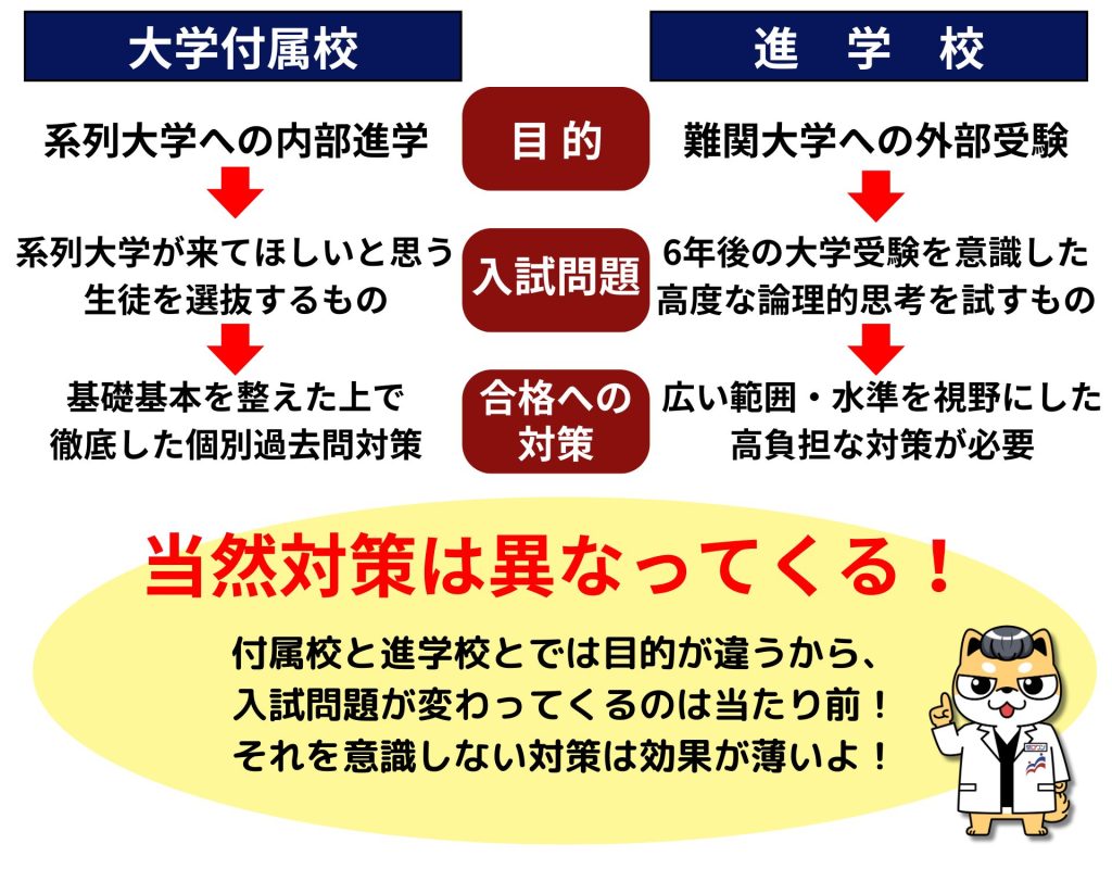 早慶ゼロワン　大学付属校　中学受験　附属稿　早稲田　慶應