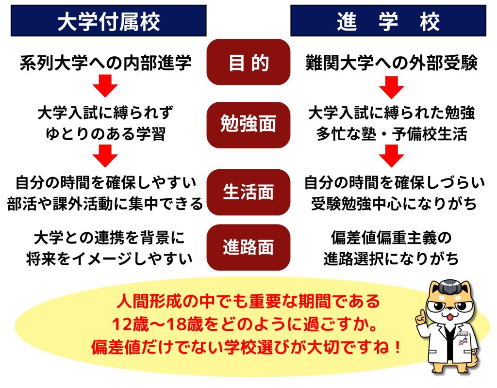 早慶ゼロワン　大学付属校　中学受験　附属稿　早稲田　慶應